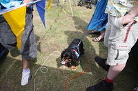 IMG 7611